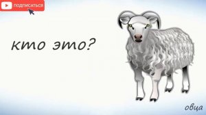 Домашние животные на английском | Детский урок английского языка