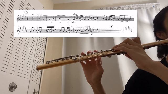 Dvork Symphony No. 9 - Flute Playthrough With @katiemeluaflute23 смотреть онлайн