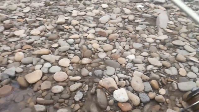 Горбуша валит валом! Трофейный таймень впридачу _ A lot of Pink Salmon & Giant Taimen смотреть онлайн