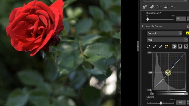 ?NIKON NX Studio HONEST Review & Full Tutorial For Beginners [IMPORT, LOCAL ADJUSTMENTS TO EXPORT ] смотреть онлайн