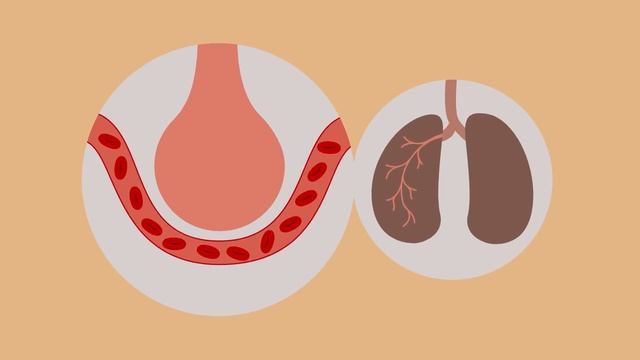 Transport in Cells: Diffusion and Osmosis | Cells | Biology | FuseSchool смотреть онлайн