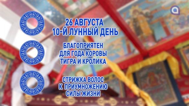 Устройте праздник смотреть онлайн