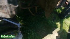 Проблемы с гидравликой в МТЗ 320, сломал картофелекопалку Wirax