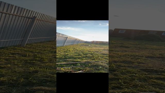 #shortsеда казан