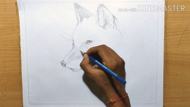 How to draw a realistic Fox animal face sketch |Tutorial| смотреть онлайн