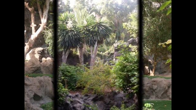 Spain - Canary Islands (Tenerife) смотреть онлайн