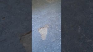 Нюансы пропитки глиняного пола льняным маслом.