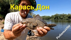 Рыбалка на карася.Дон