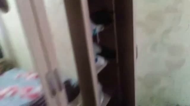 Видеоотзыв о шкафе Боровичи Эко 4 дверный с зеркалами, арт.5.15z Эко смотреть онлайн