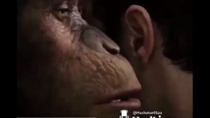 Обезьяна шепчет на ушко