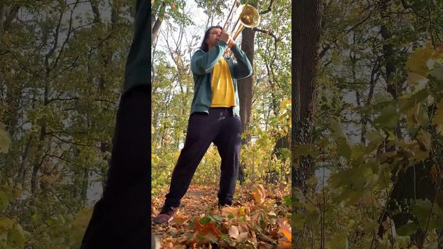 Пісня про пісню - Тарас Петриненко. Cover trombone. смотреть онлайн