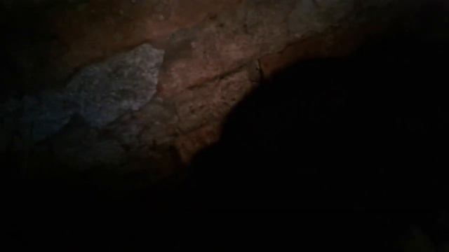 Нутрии смотреть онлайн