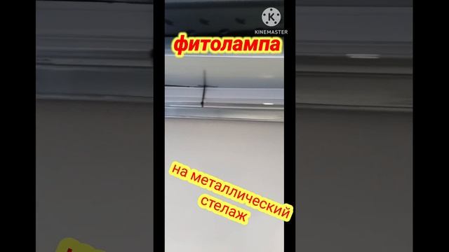 как закрепить фитолампу к металлическому стелажу #фитолампа #рассада #стелаж смотреть онлайн