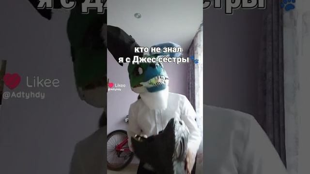 1000034254.mp4 смотреть онлайн