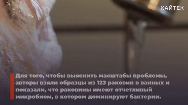 Enchanting Expeditions