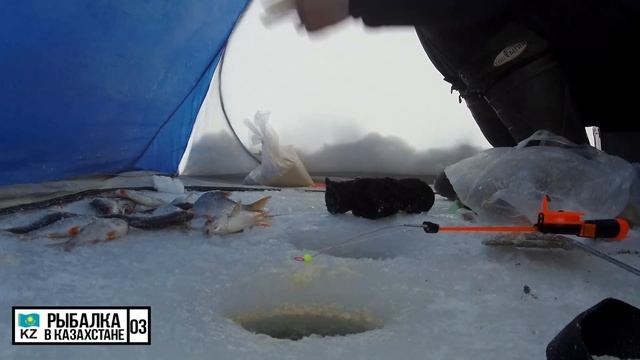 ЖОР ПЛОТВЫ В ЯНВАРЕ. Рыбалка в Казахстане 2020г. смотреть онлайн