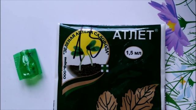 АТЛЕТ ОТ ВЫТЯГИВАНИЯ РАССАДЫ смотреть онлайн