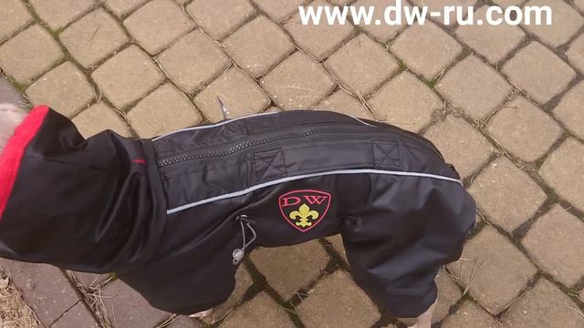 Комбинезон для собак межсезонный. Модель AIR от Одежда для собак DW смотреть онлайн