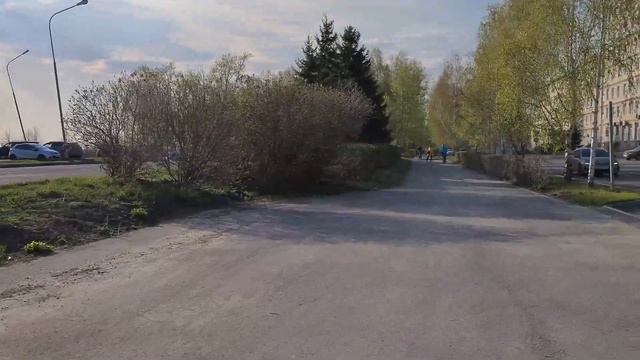 Сибирские просторы.Теплые денечки. Цветет медуница! смотреть онлайн