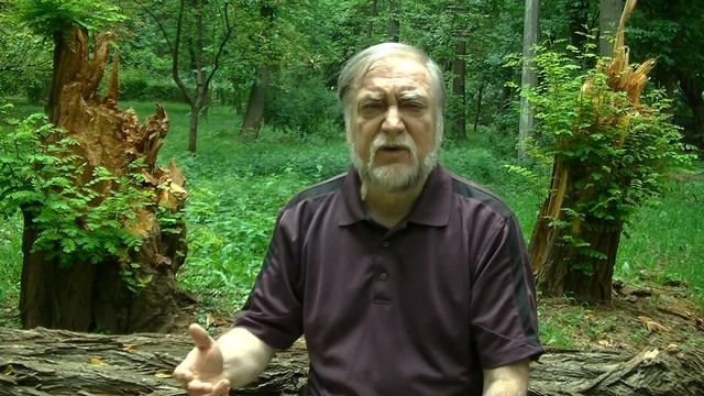 Повороты жизни. Поэт Игорь Морозов. 2019. смотреть онлайн