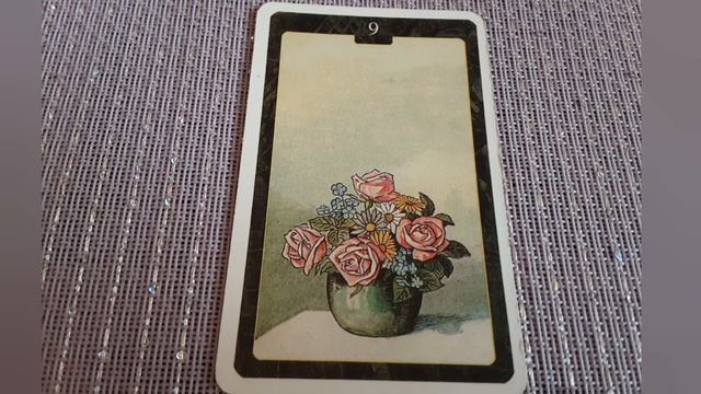 Часть 2. Работа/Бизнес. Значение карт Ленорман Змея-Птицы/Совы. смотреть онлайн