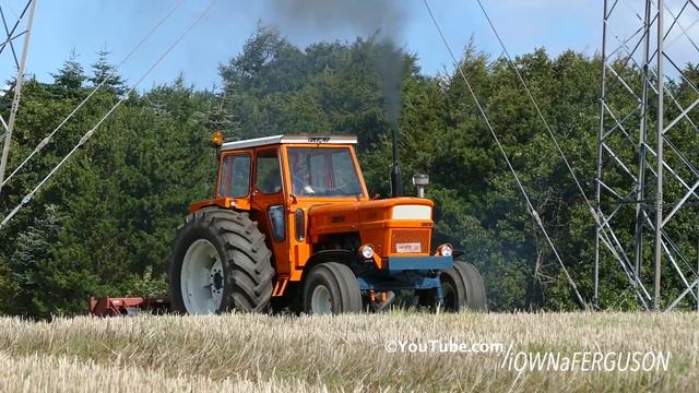 Fiat 1000 - Deep Cultivates The Field | PURE SOUND | Fiat Day 2017 | DK Agriculture смотреть онлайн