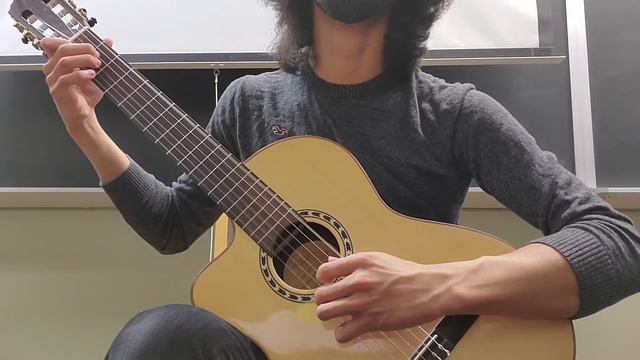 Allegro- Mauro Giuliani смотреть онлайн