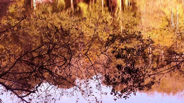 Hear the Voice - By William Blake - Read by James Kingdon смотреть онлайн
