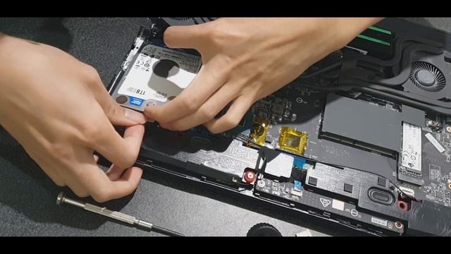 How to install internal hdd 2.5 inch in MSI GL65 9SC смотреть онлайн