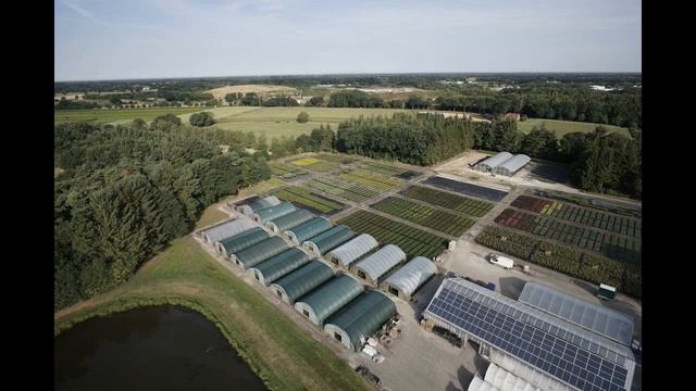 Helmers Containerbaumschule in Mansie смотреть онлайн