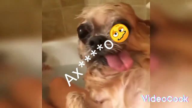 не плохо.. прям ништяк🤪 смотреть онлайн