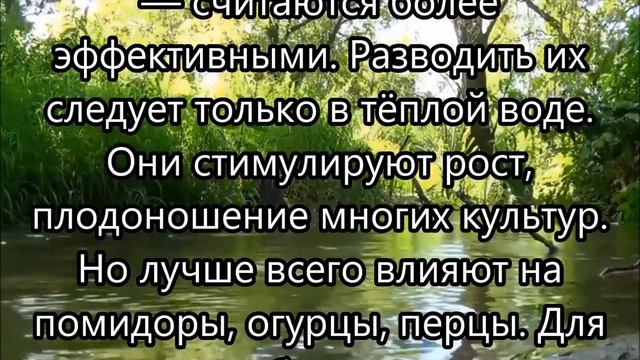 Рост огурцов и помидоров усилится в 10 раз. Чудо подкормка на дрожжах. смотреть онлайн