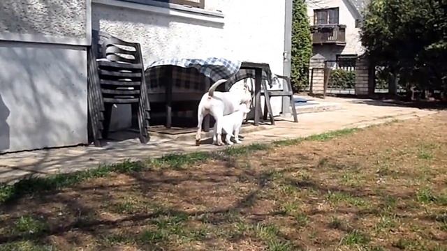 Snaige 2 смотреть онлайн