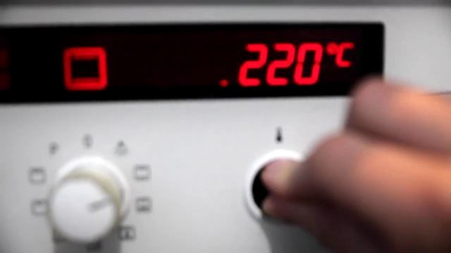 Зоопарк и Дикие Животные