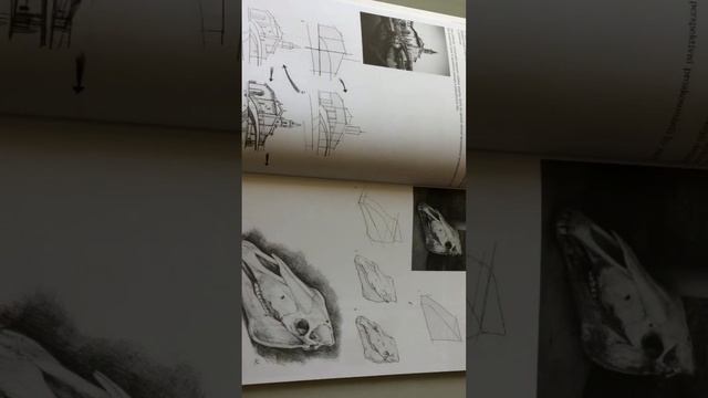 Анализируем рисунки книги Перспектива Джованни Ченини. Череп. На ошибках учимся. смотреть онлайн