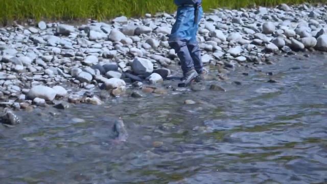 17 августа 2022 г. смотреть онлайн