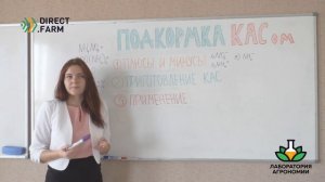 КАС – подкормка растений удобрением