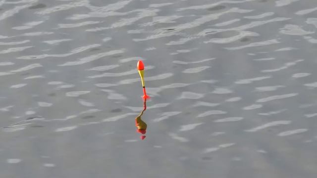 Рыбалка на поплавок в конце апреля 2023. смотреть онлайн