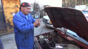 Раковина  в  канале  ХХ. Ока .