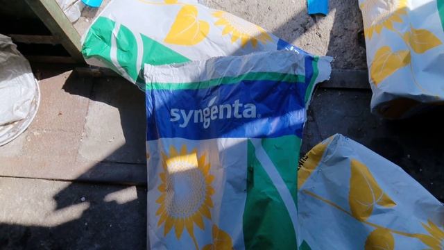 Передпосівна обробка насіння соняшнику інсектицидом Антихрущ проти совки. смотреть онлайн