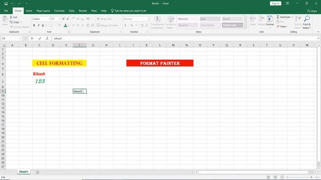 Format Painter in Excel | Cell Formatting in MS Excel | Excel tutorial Part 2 смотреть онлайн