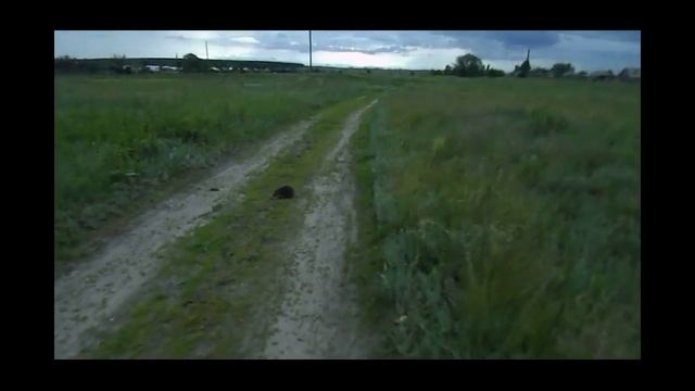 Природа Саратовской области смотреть онлайн