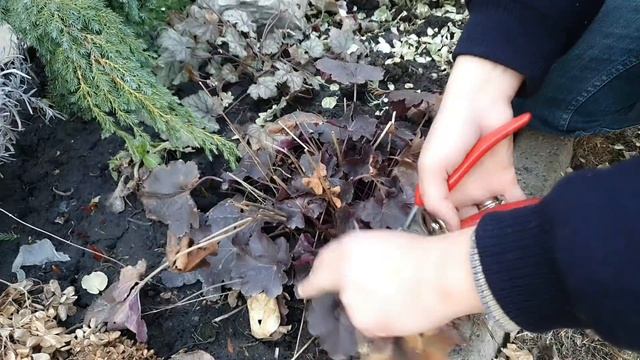 Мои весенние работы в САДУ всё для ЦВЕТЕНИЯ всё для КРАСОТЫ . смотреть онлайн