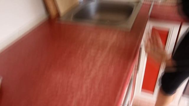 РАЗВЕДЕНИЕ ВОЛНИСТЫХ ПОПУГАЕВ || ПЛЮСЫ И МИНУСЫ РАЗВЕДЕНИЯ смотреть онлайн