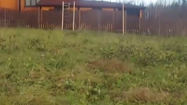 Сравнение ширины поля разных прицелов. смотреть онлайн
