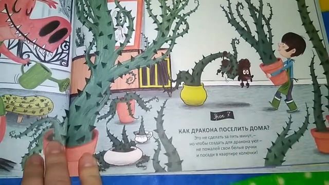 Обзор книги ДРАКОНЫ. ИНСТРУКЦИЯ ПО ПРИМЕНЕНИЮ смотреть онлайн