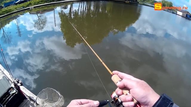 Форель на спиннинг. Проводки приманок Jara Baits Mirax смотреть онлайн