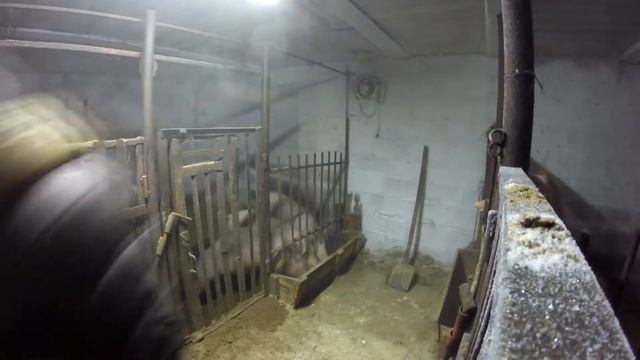 Три поросенка - правильно кормим свиней смотреть онлайн