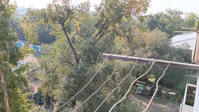 Наступила настоящая осень, начали желтеть листья на деревьях, но светит солнышко, ещё тепло. смотреть онлайн