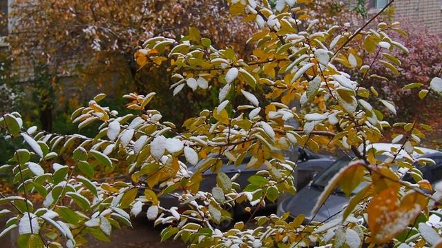 С Первым Снегом! Муром, 31 октября 2022, First snow in Murom, October 31, 2022 смотреть онлайн